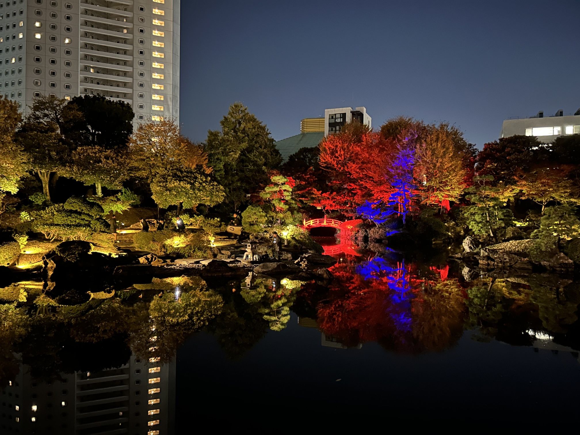 安田庭園イルミ