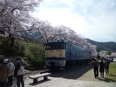 駅横の電車と桜