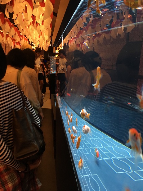 水族館2