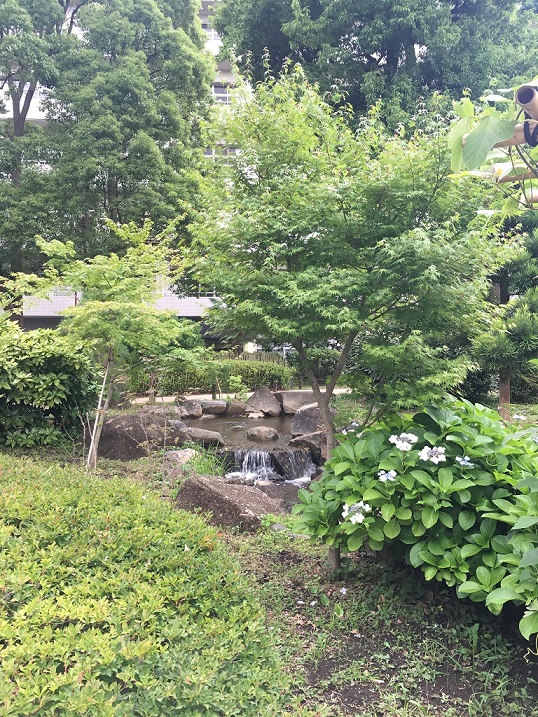 横網町公園1_