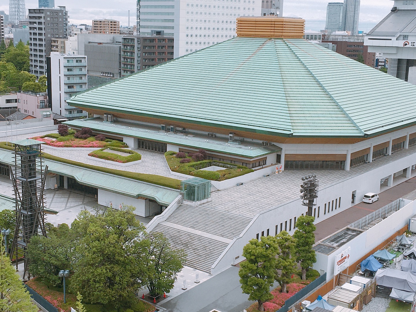 国技館つつじ2020.5.120