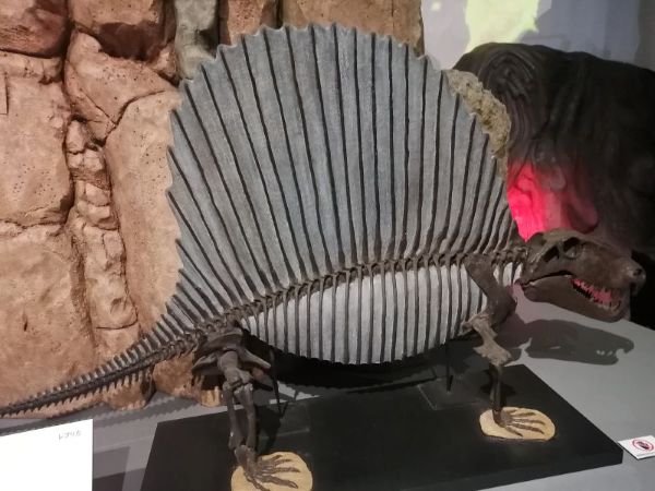 IMG_20260210_142320 (1)