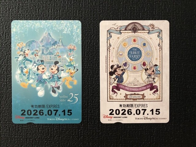 一日券